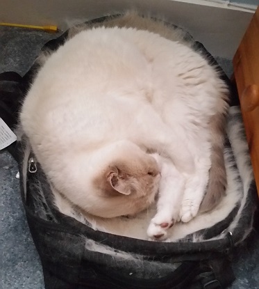 catend